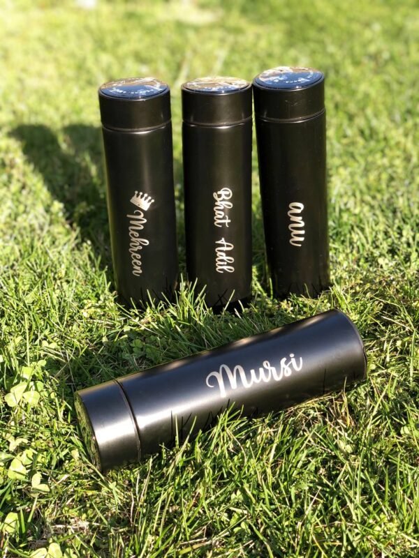 LED Temperature Digital Display Stainless Steel Water Bottle